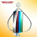 aero-generator squirrel-cage wind generator ws-wt300w